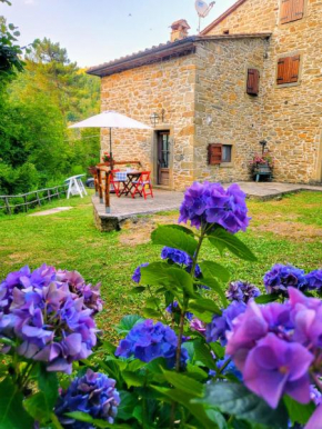 Appartamento in casa colonica 